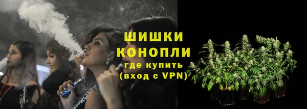 прущая мука Корсаков