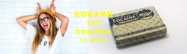 прущая мука Корсаков