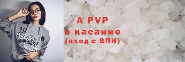 прущая мука Корсаков