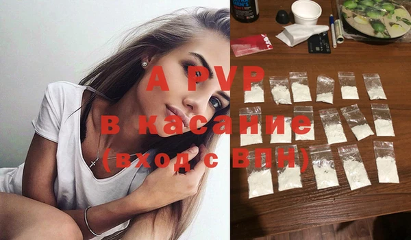 прущая мука Корсаков